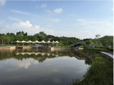 東進(jìn)下的坪山，你還認(rèn)識(shí)嗎？探秘生態(tài)園新篇